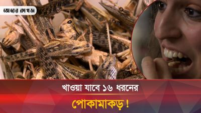 পোকামাকড়কে খাদ্য হিসেবে অনুমোদন দিল যে দেশ 